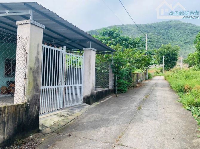 Bán đất Châu Pha, giáp ranh Tân Hưng, TP Bà Rịa  - Dt 15x50, CLN, phủ hồng (tổng 750m2),