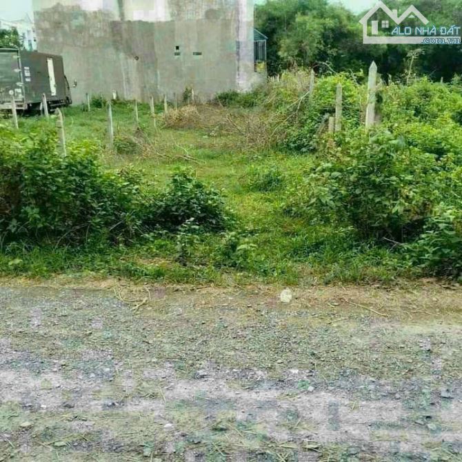 (HÀNG HIẾM) ĐẤT NGỘP SHR NGAY KCD FULL THỔ