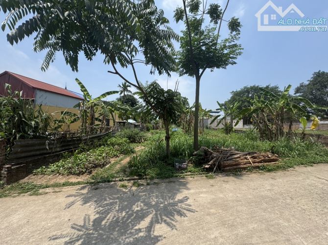 Bán Đất - Thắng Trí(Minh Trí)- 362m2 - 5 Tỷ - Đường Thông Ô Tô