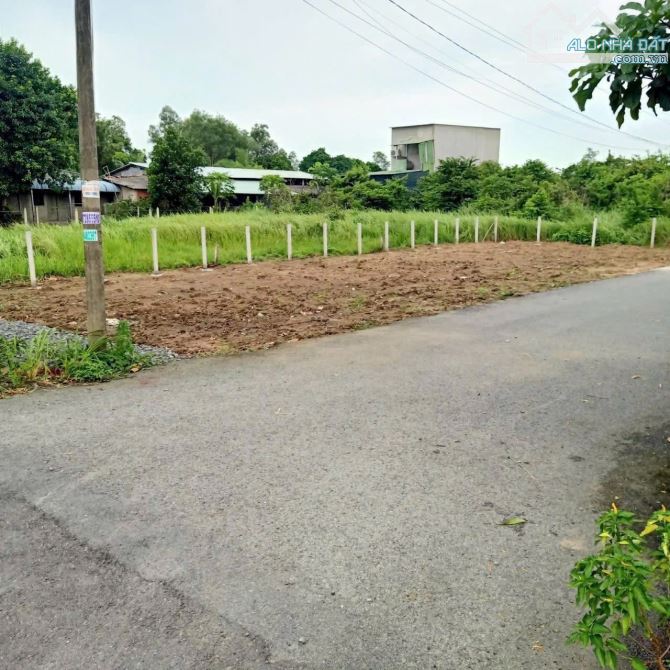 Góc 2 mặt tiền Bùi Thị Điệt xã Phạm Văn Cội Củ Chi 10x25 tổng 250m 100m thổ cư dân cư đông