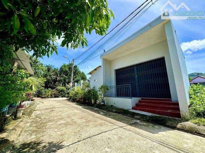 Bán đất tặng nhà cấp 4 còn sử dụng được Cách Nha Trang 8Km. Diên Toàn - Diên Khánh