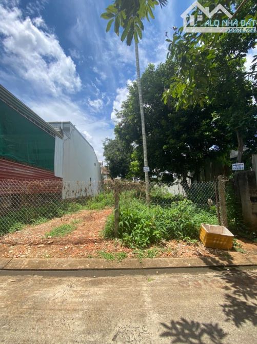🅿️❇️Đất hẻm 294 Nguyễn Chí Thanh, Phường Tân An, 3,6 tỷ, 6x40m❇️