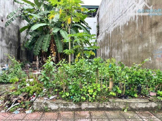 💥💥 BÁN ĐẤT MẶT ĐƯỜNG LONG HƯNG TP THÁI BÌNH– VỊ TRÍ SIÊU ĐẸP 💥💥