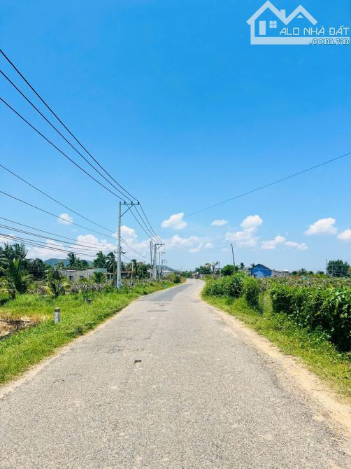 Bán GẤP đất mặt tiền đường nhựa - Xã Hàm Thuận Bắc ,Phan Thiết ,tỉnh Lâm Đồng giá 4,5 tỷ