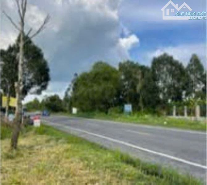BÁN 3000 M2 ĐẤT MẶT TIÊN QUỐC LỘ 61C -PHONG ĐIÊN -TP CÂN THƠ