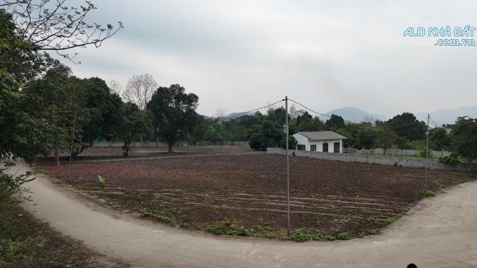 1853m Có 557m Đất Ở - Bám Đường Bê Tông 70m Lô Góc " Mặt Tiền - Cách Hà Nội 40km