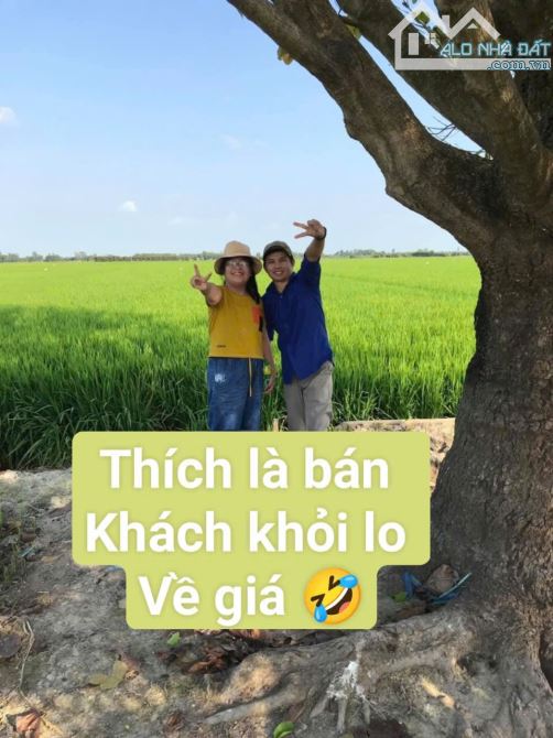 🏡🔥 Mặt tiền Nguyễn Đình Chiểu – 58m² – 3 tầng – Chủ bán nhanh cho khách thiện chí, 9.9 T