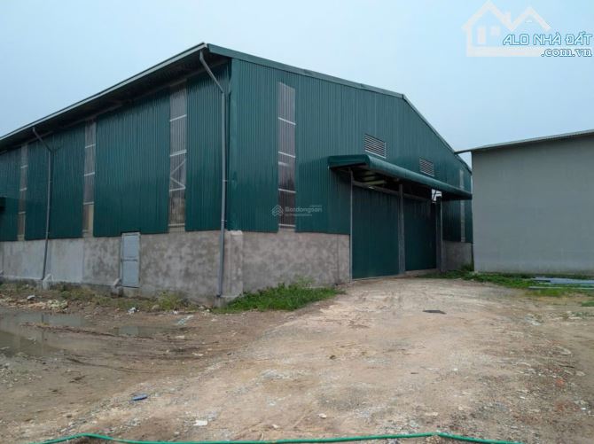 Cho thuê kho xưởng 3500m2 tại Khu CN Nguyên Khê Đông Anh
