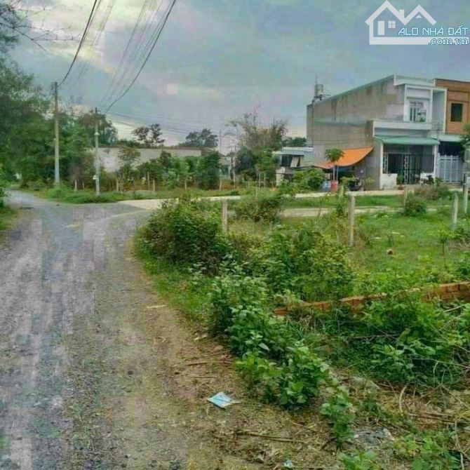 (HÀNG HIẾM) ĐẤT NGỘP SHR NGAY KCD FULL THỔ - 2