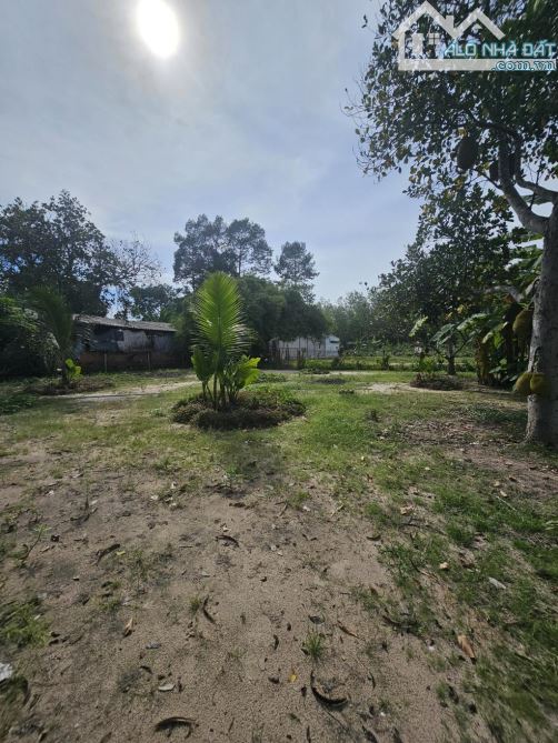 Bán đất thổ cư 2700m2, MT Bùi Thị Điệt, Phạm Văn Cội, Củ Chi.SHR  giá 31.5 LH - 1