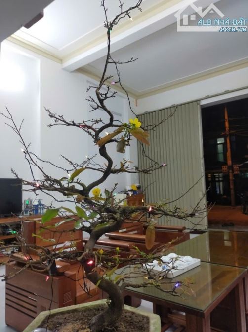🛖BÁN NHÀ TRUNG TÂM HOÀ XUÂN - QUÁCH THỊ TRANG - VỊ TRÍ ĐẸP - NHÀ CÒN MỚI - 100M2 - 1