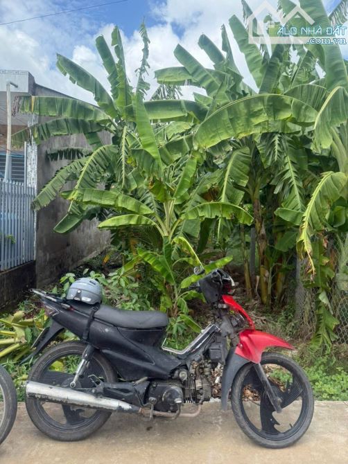 Đất thổ cư đường oto 7 chỗ gần quảng trường Mỹ Tho, Tiền Giang - 1