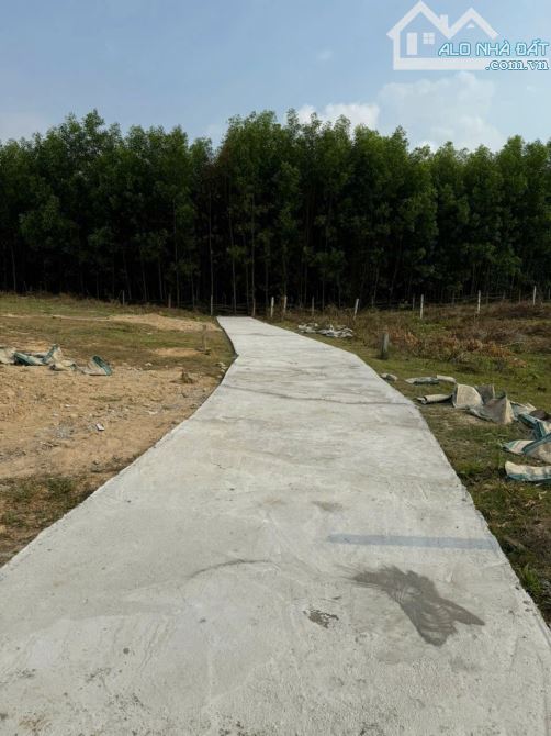 Bán đất Khánh Trung giá rẻ có thổ cư gần sông mát mẻ quanh năm - 1
