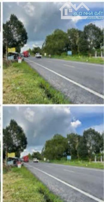 BÁN 3000 M2 ĐẤT MẶT TIÊN QUỐC LỘ 61C -PHONG ĐIÊN -TP CÂN THƠ - 1