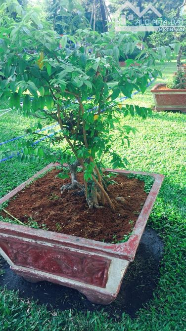 💥 Bán đất mặt tiền đường 1-2 Võ Văn Vân 2120m2, 32 tỷ. - 1