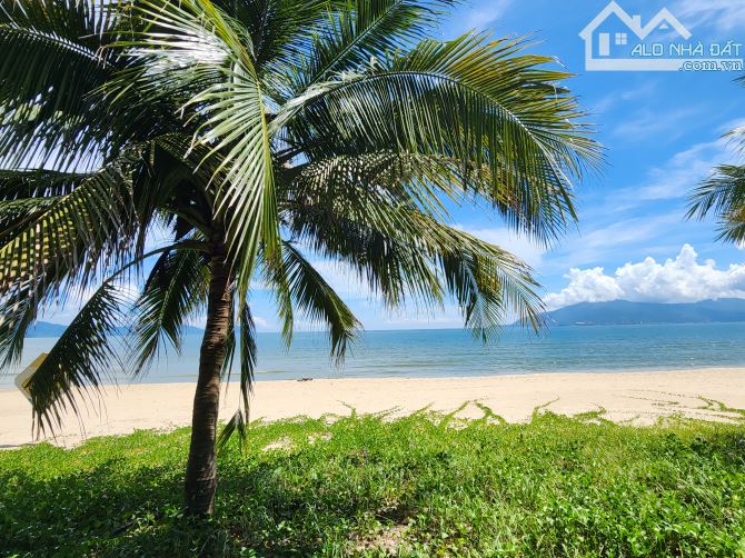 Đất hiếm mt Phùng Hưng sát Biển giá đầu tư - 1