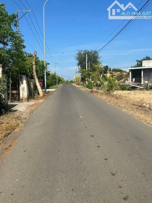 Bán đất có sẵn vườn,  Long Tân – Đất Đỏ,  giá đầu tư, phủ hồng - 1