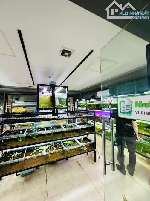 Bán gấp tòa nhà MP Quan Hoa Cầu Giấy vỉ hè oto thang máy KD nhỉnh 59ty 105m² x9T. - 1