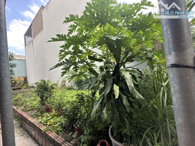 Lô góc siêu đẹp tổ 12 thị trấn Đông Anh Hà Nội 81m2 giá cực tốt - 1