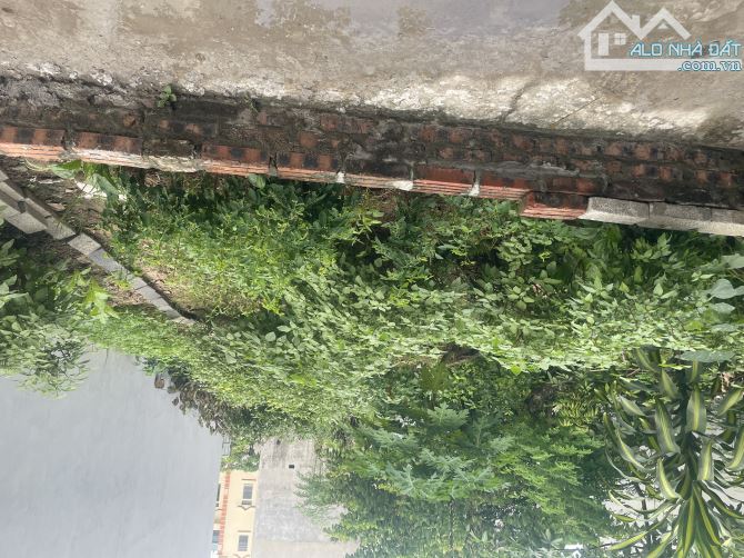 ĐẤT ĐẸP – THÔN ĐOÀI, NAM HỒNG, ĐÔNG ANH Diện tích: 62,2m² – MT: 4,08m – Hậu: 4,1m - 2