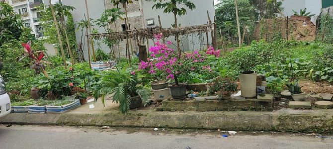 ĐẤT MẶT PHỐ TÂY TỰU, ĐH CÔNG NGHIỆP,ĐẠI LÔ TÂY THĂNG LONG,DT=55M,MT=4.5, 7.2TY - 2