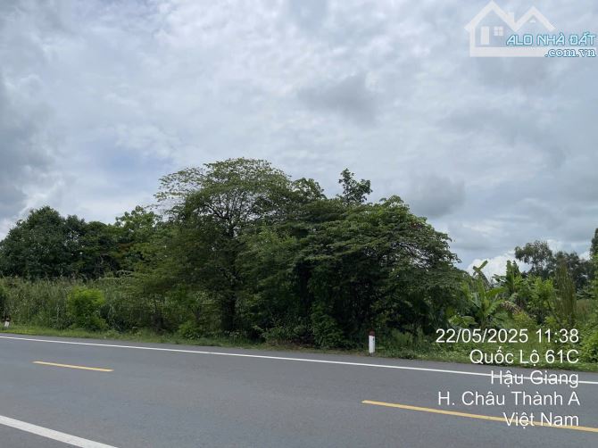 🏠BÁN 1000m2, ĐẤT MẶT TIỀN ĐƯỜNG 61C, ĐOẠN 5500, ( ĐỐI DIỆN KCN TÂN HOÀ + TĐC 7000 ). - 2