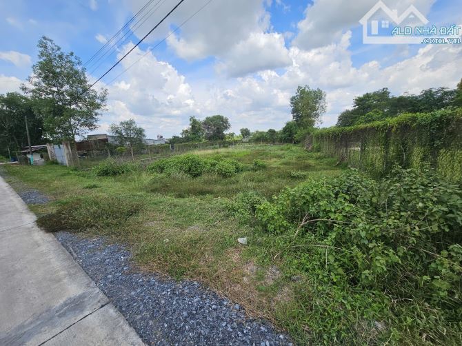 Cần bán gấp lô đất 300m2 ở Phước Hiệp – Giá 870tr – Cách cầu kênh Đông, Đường Basa 300m - 2