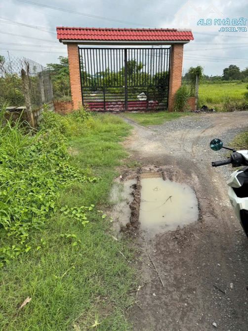 Bán đất vườn cây ăn trái xã Trung An Củ Chi TPHCM, DT: 1390m2. - 2