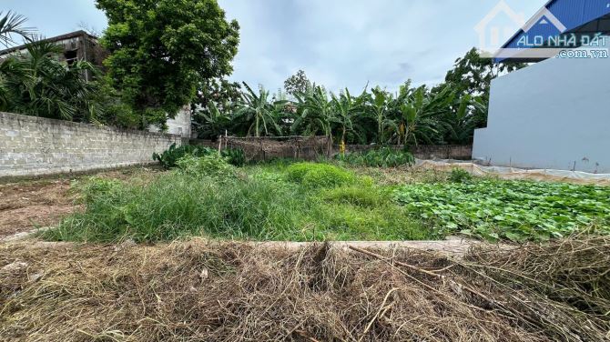 Đồng tâm, Mỹ đức lô góc  2 mặt thoáng, 83 m ôt tô chạy, đường thông giá rẻ - 2