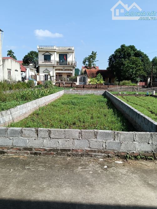 Mảnh đất vuông đẹp giá rẻ tiềm năng 👉 chương dương -thường tín - 2