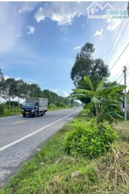 BÁN 3000 M2 ĐẤT MẶT TIÊN QUỐC LỘ 61C -PHONG ĐIÊN -TP CÂN THƠ - 2
