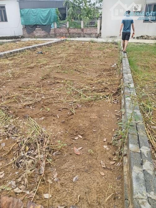 Bán 60m2 giáp trường tiểu học Đông Yên, Quốc Oai - 2