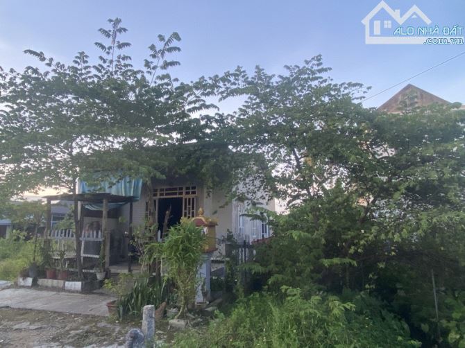 🔥🔥Trời Lụt Bão Thì Ở Đâu Cũng Lụt Bước Ra Đường Là Phải Lội - 2