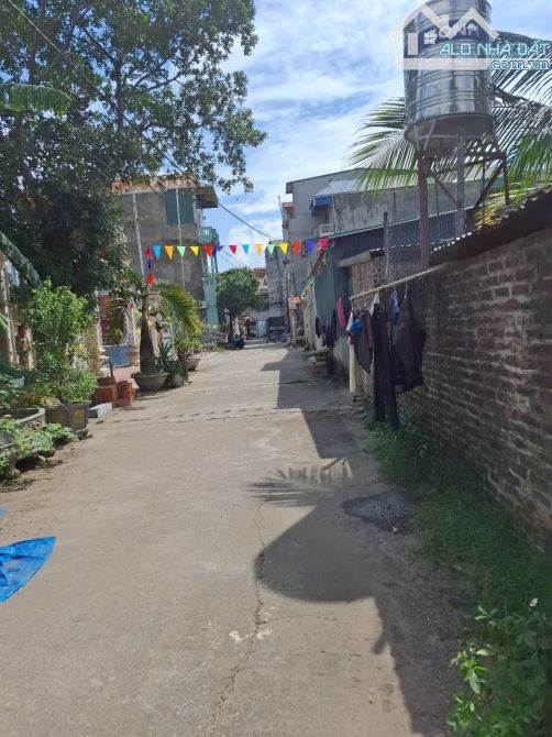 ✅ BÁN ĐẤT ĐẤU GIÁ PHÚC TIẾN BIÊN GIANG 52m2 x Mt5m giá 3,5 tỷ - 2