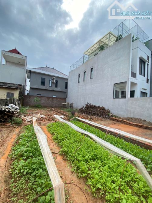 BÁN GẤP 98M ĐẤT CỔ DƯƠNG, TIÊN DƯƠNG, ĐÔNG ANH, HÀ NỘI. FULL THỔ CƯ, Ô TÔ NGỦ TRÊN ĐẤT - 2