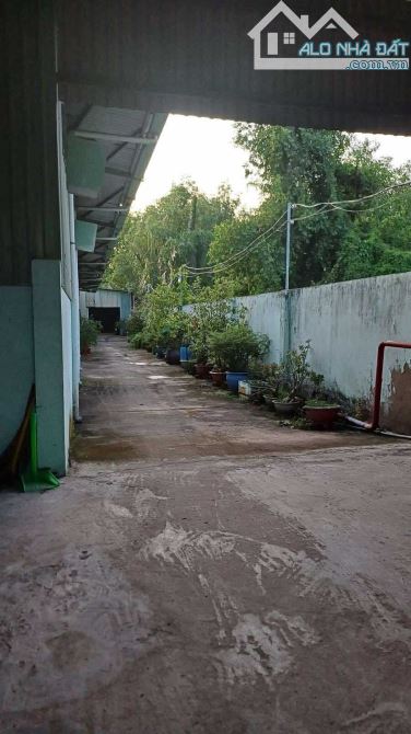 PHÁ SẢN BÁN GẤP 2000M2 MẶT TIỀN ĐÀO SƯ TÍCH NHÀ BÈ - 2