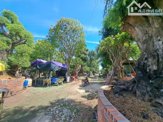 Bán đất mặt tiền 44x65m giá 38 tỷ Đường Bùi Công Trừng - 2