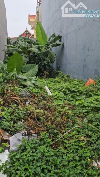 HÀNG HIẾM – BÁN ĐẤT 80m² chỉ 1,88 tỷ TRUNG TÂM TỔ 7, THỊ TRẤN AN DƯƠNG , AN DƯƠNG, HẢI PH - 3