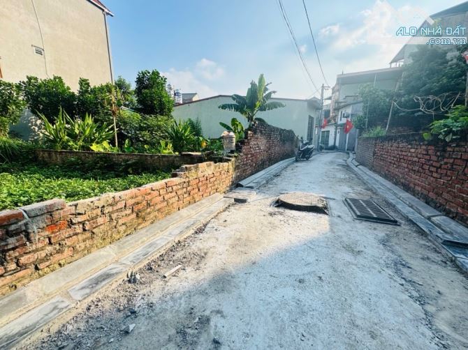 🌹 BÁN ĐẤT THÔN LỰC CANH- XUÂN CANH - ĐÔNG ANh  ✅ - 3