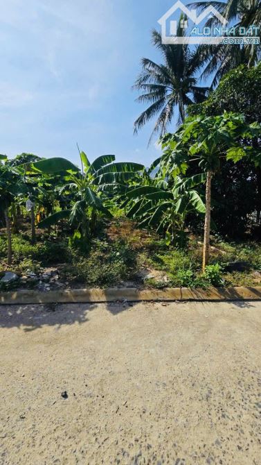 đất Thổ Cư cách Nha Trang 8km, giá tốt Diên Toàn - Diên Khánh. - 3