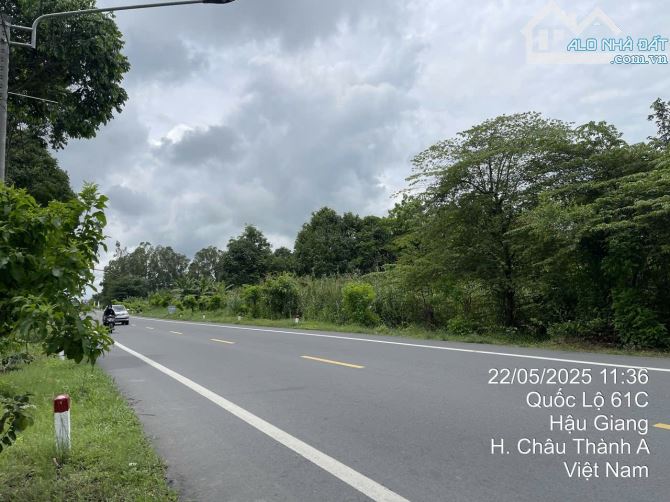 🏠BÁN 1000m2, ĐẤT MẶT TIỀN ĐƯỜNG 61C, ĐOẠN 5500, ( ĐỐI DIỆN KCN TÂN HOÀ + TĐC 7000 ). - 3