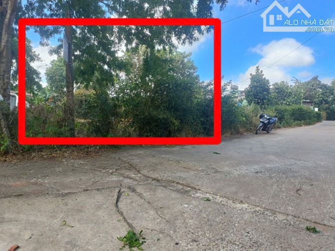 Bán đất hẻm cấp 1 trần quý cáp ngay bệnh viện vùng - 3