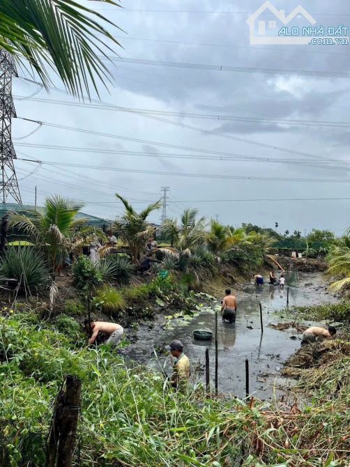 Bán đất vườn cây ăn trái xã Trung An Củ Chi TPHCM, DT: 1390m2. - 3
