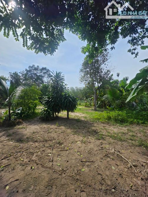 Bán đất thổ cư 2700m2, MT Bùi Thị Điệt, Phạm Văn Cội, Củ Chi.SHR  giá 31.5 LH - 3