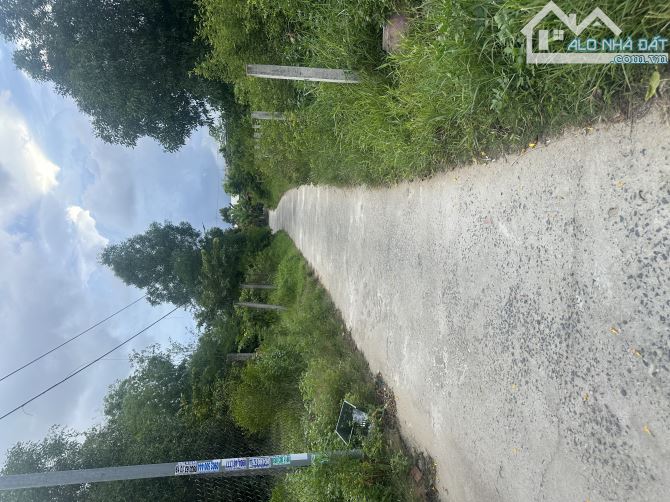 🏡 BÁN ĐẤT ĐẸP – HÒA QUÝ, NGŨ HÀNH SƠN, ĐÀ NẴNG - 3