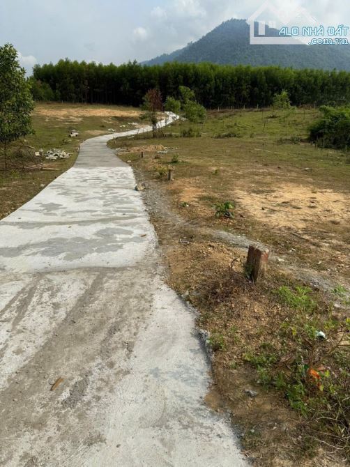 Bán đất Khánh Trung giá rẻ có thổ cư gần sông mát mẻ quanh năm - 3