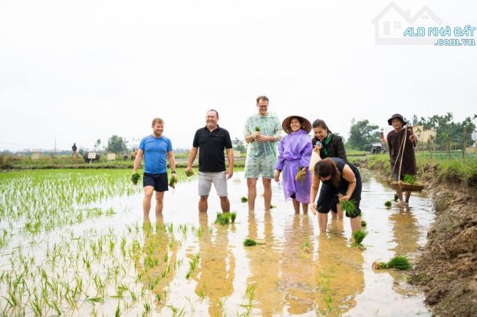 Sở hữu đất mặt tiền Đường Lê Thánh Tông – Ngắm trọn đồng quê An Mỹ ngay giữa lòng Hội An - 3