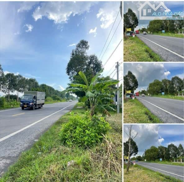 BÁN 3000 M2 ĐẤT MẶT TIÊN QUỐC LỘ 61C -PHONG ĐIÊN -TP CÂN THƠ - 3