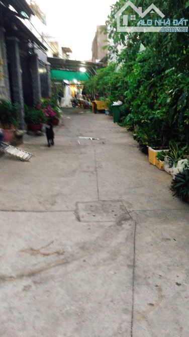 💥 Bán đất mặt tiền đường 1-2 Võ Văn Vân 2120m2, 32 tỷ. - 3