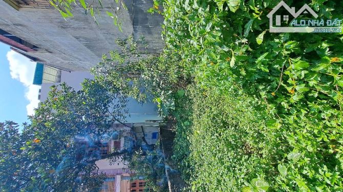 Bán 103m2 đất trục chính Cổ Bi, đường ô tô tránh, kinh doanh - 3